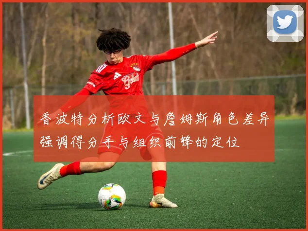 香波特分析欧文与詹姆斯角色差异强调得分手与组织前锋的定位