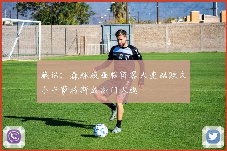 狼记：森林狼面临阵容大变动欧文小卡萨格斯成热门人选