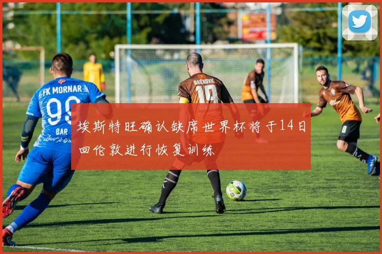 埃斯特旺确认缺席世界杯将于14日回伦敦进行恢复训练
