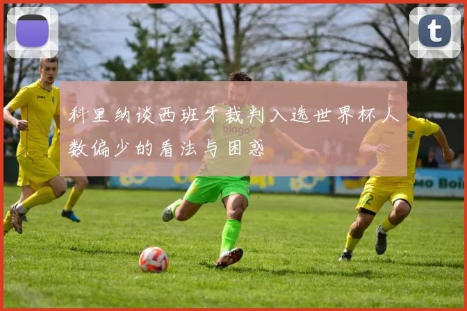 科里纳谈西班牙裁判入选世界杯人数偏少的看法与困惑