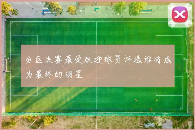 分区决赛最受欢迎球员评选谁将成为最终的明星